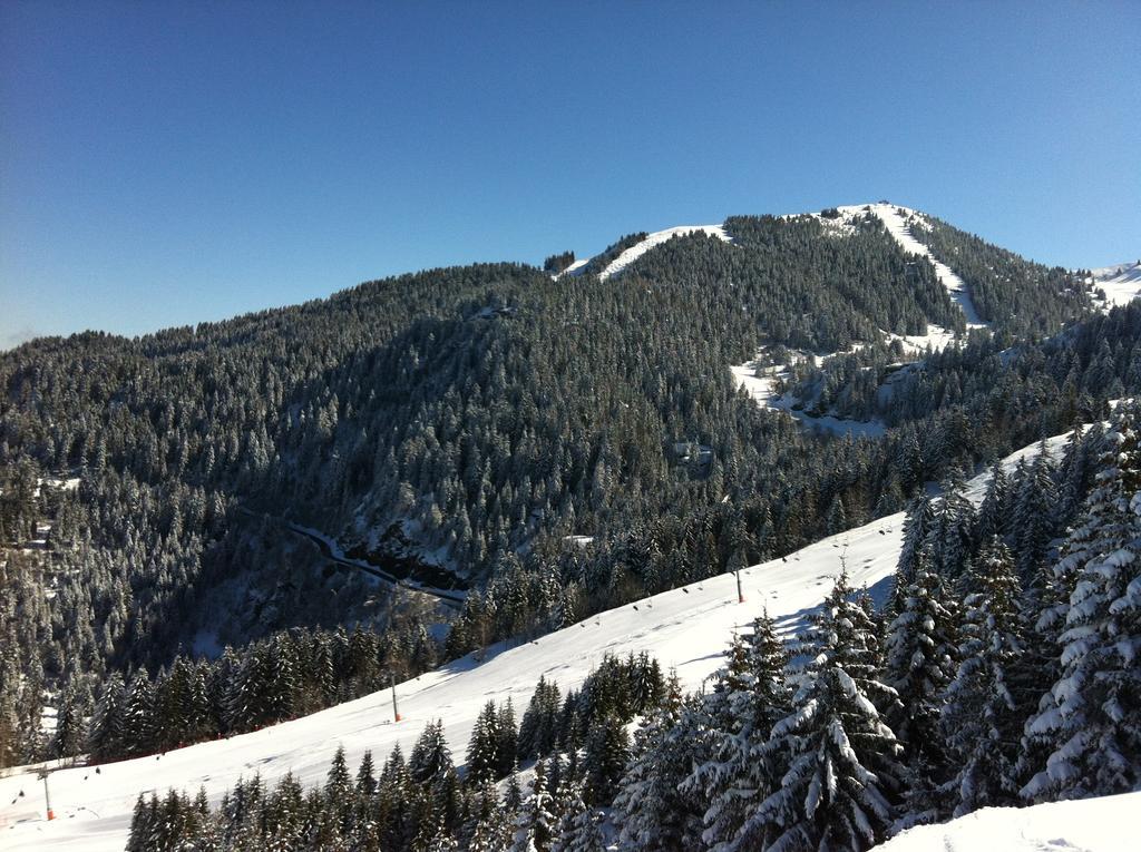 Appartements Le Clos Des Gentianes อัลวาร์ ภายนอก รูปภาพ