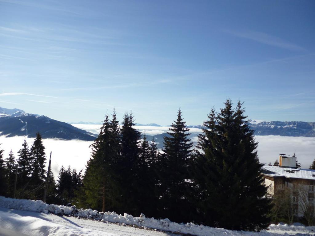 Appartements Le Clos Des Gentianes อัลวาร์ ภายนอก รูปภาพ